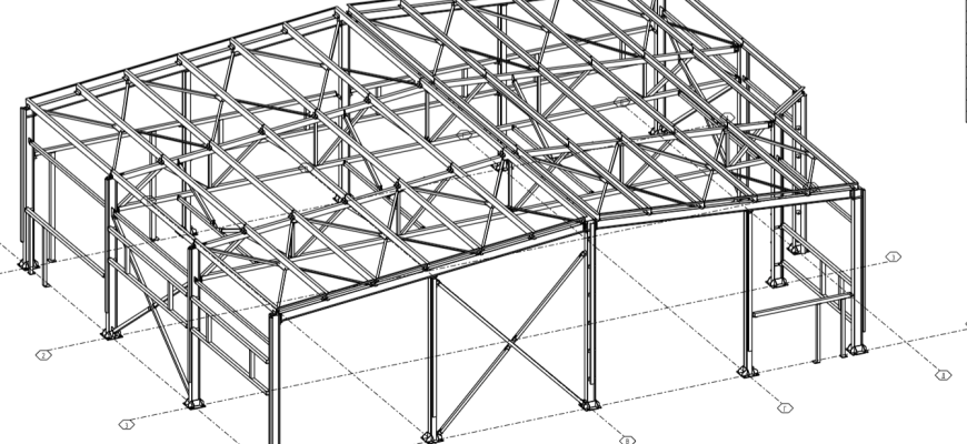 aleksandrovskaya-ferma-proekt-metallicheskogo-karkasa